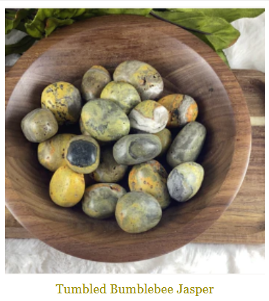 Beginners Guide to Getting Stoned... I mean Stones! (Bumblebee Jasper)