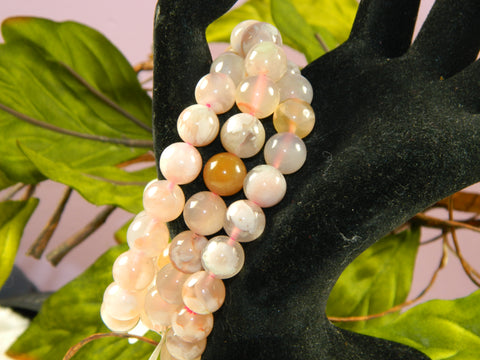 Cherry Blossom Agate Round Bead Bracelet 10mm
