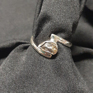 Meteorite ring