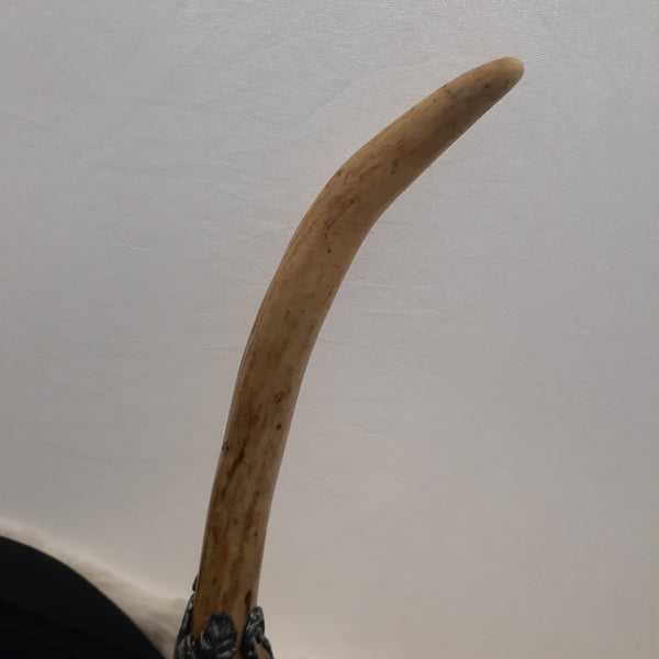 Deer Antler Wand with Tigers Eye