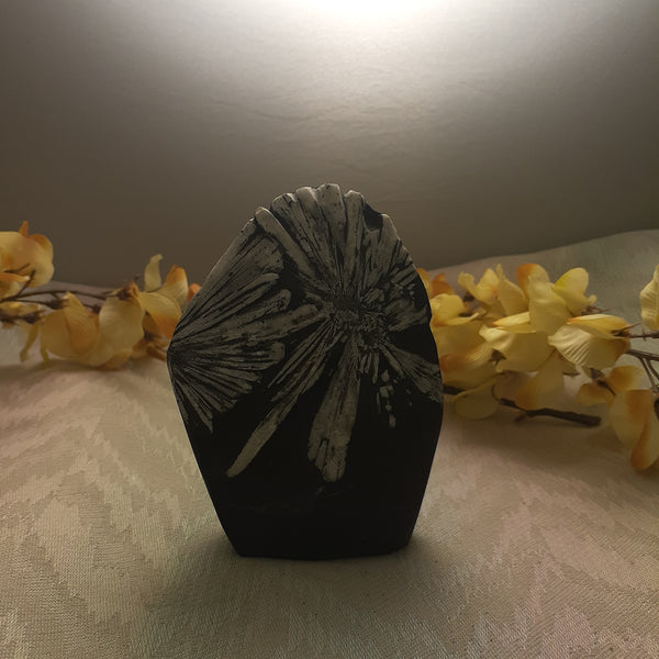 Chrysanthemum Stone