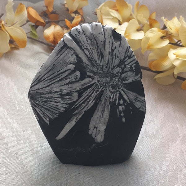 Chrysanthemum Stone