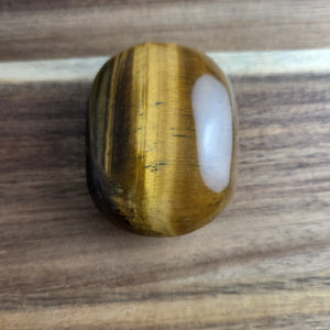 Tigers Eye Palm Stone Specimen