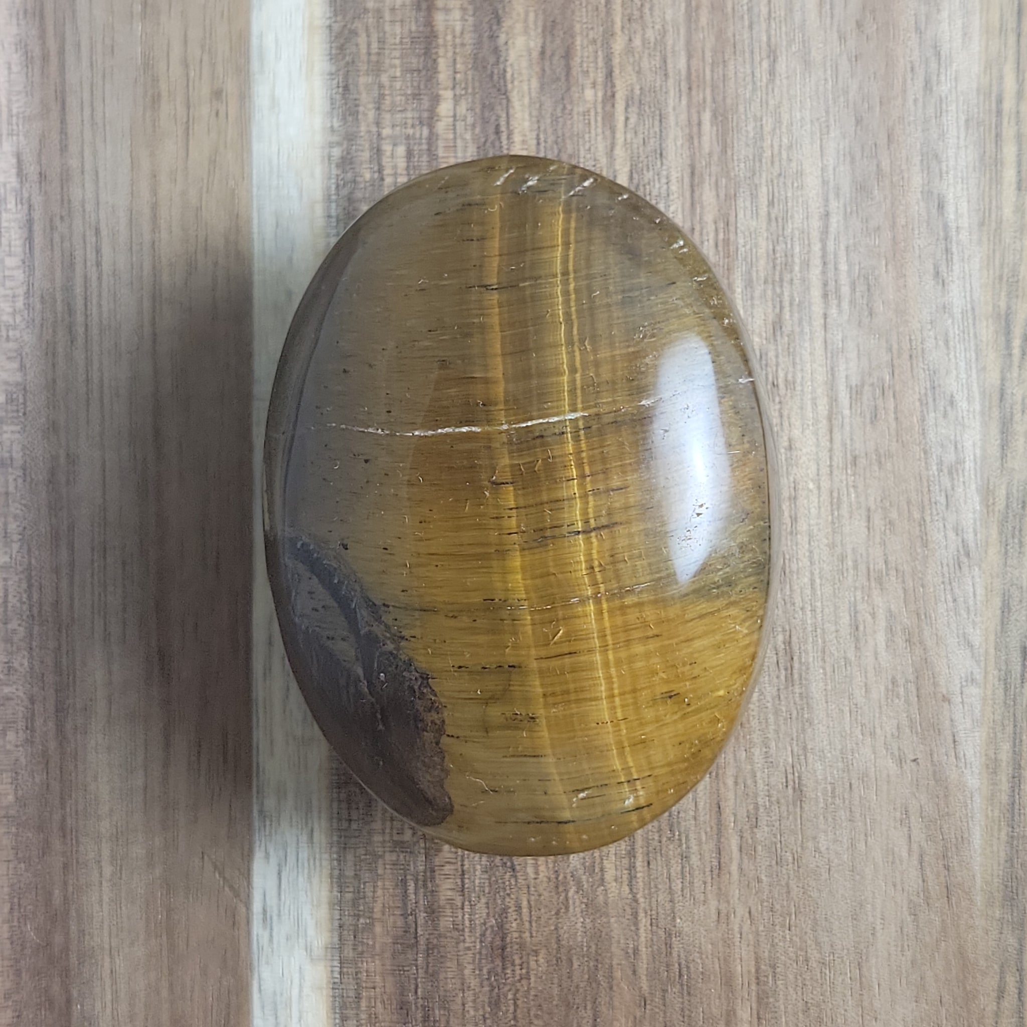 Tigers Eye Palm Stone Specimen