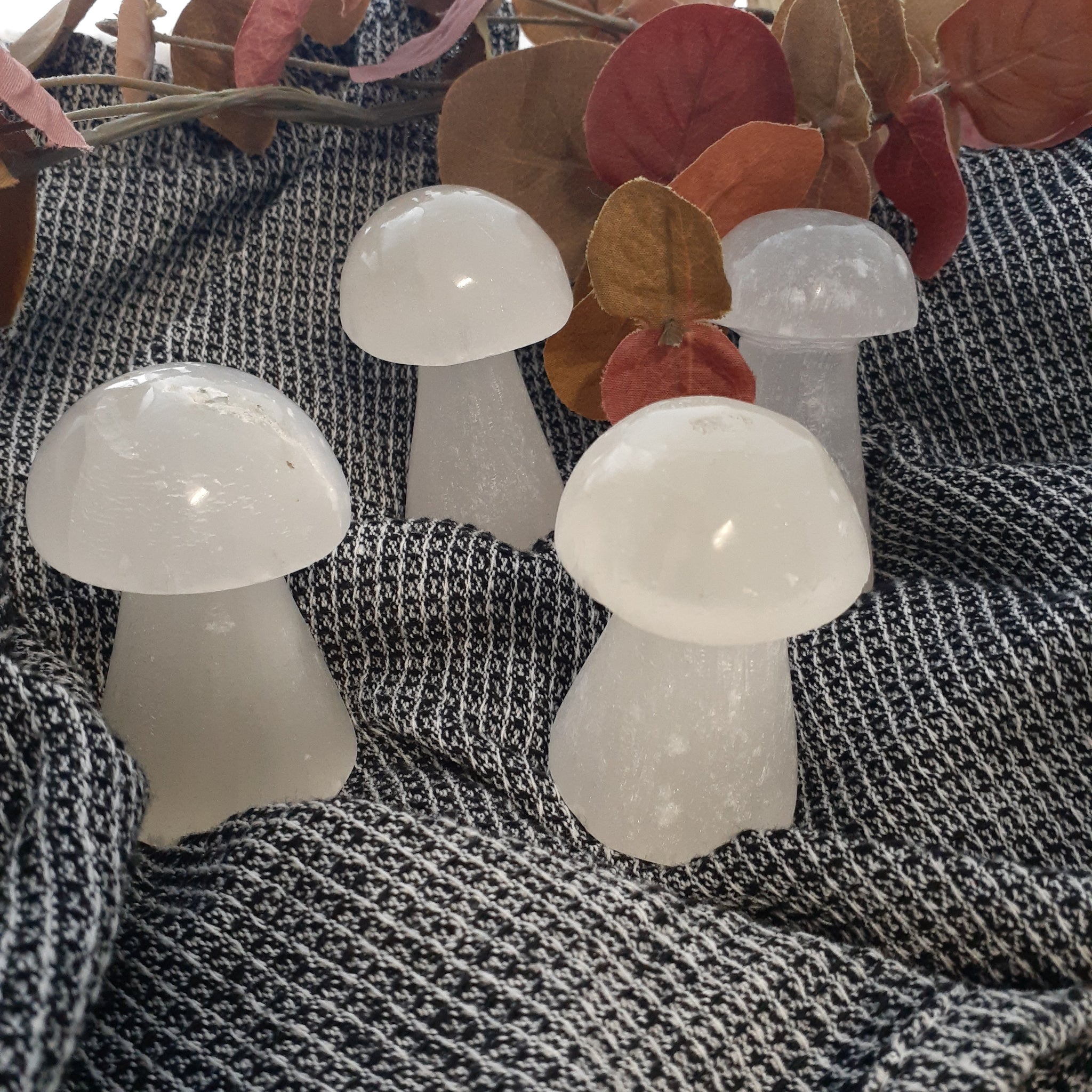 Selenite Mushrooms