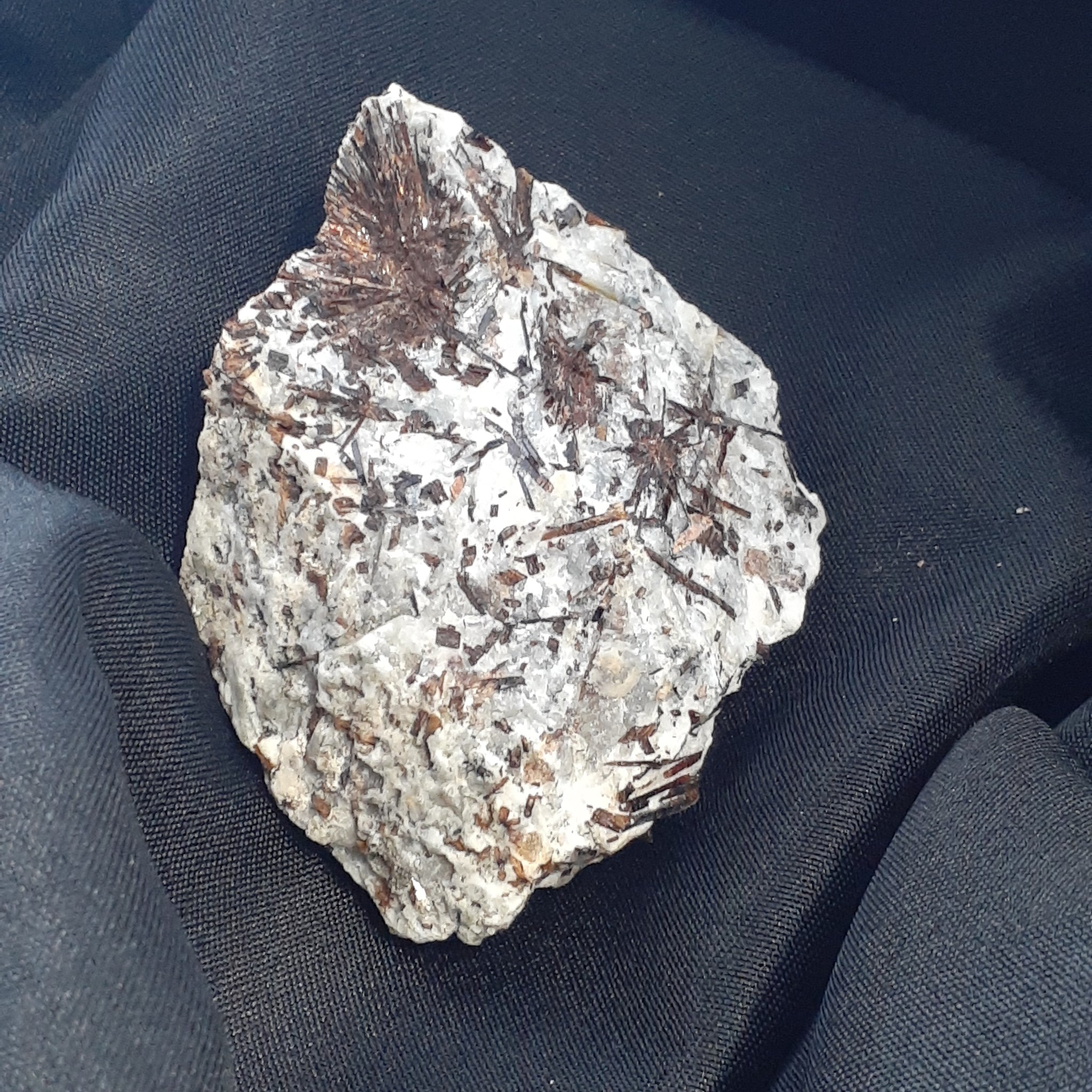 Astrophyllite Specimen