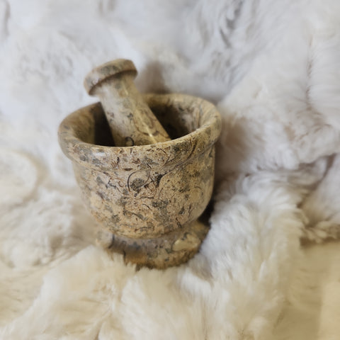 Fossil Coral Mortar and Pestle