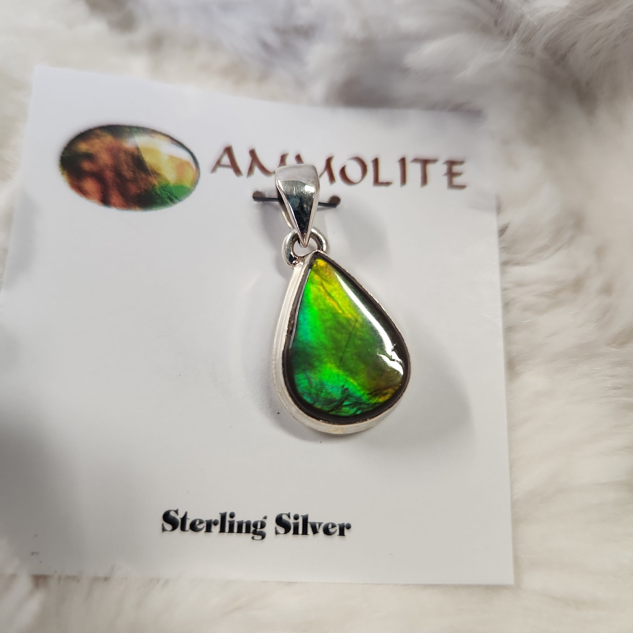 Ammolite Teardrop Pendant