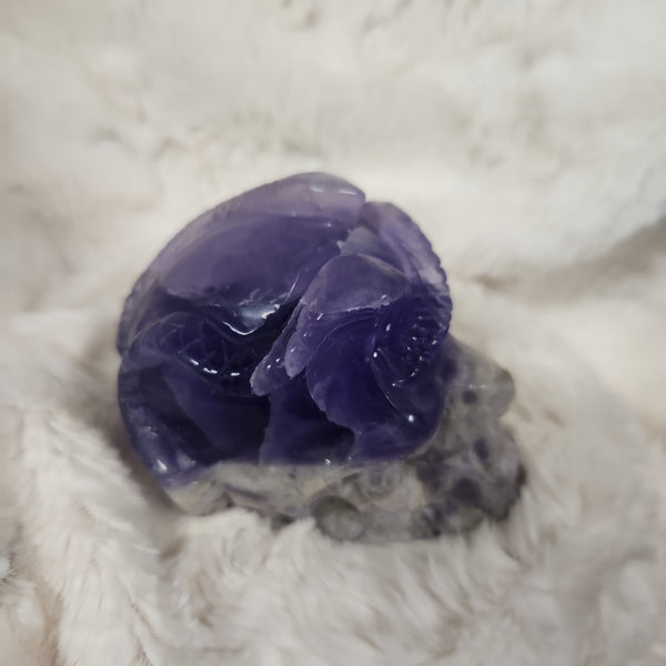 Amethyst Skull with Snake