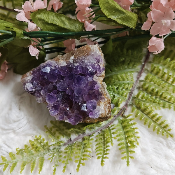 Amethyst Specimen