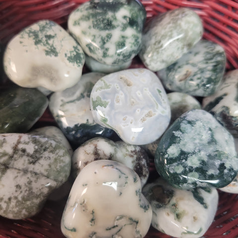 Tree Agate Heart