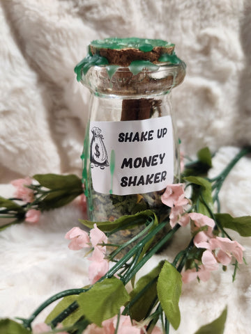 Money Shaker Bottle