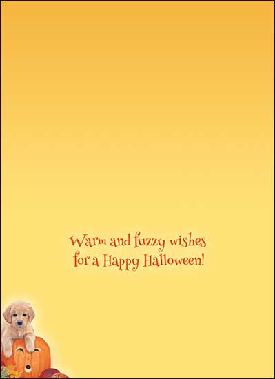 Halloween Card Warm and fuzzy wishes for a Happy Halloween!