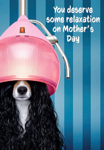 Dog Sitting Under Hairdryer Mother's Day Card