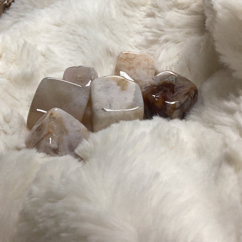 Flower Agate Tumbled Large
