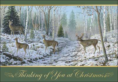 Christmas Card: The Gentle Joys of the Season Whitetail Deer Card