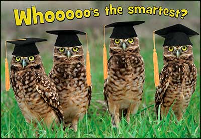 Graduation Card Whooooos the smartest Youuuuus the smartest