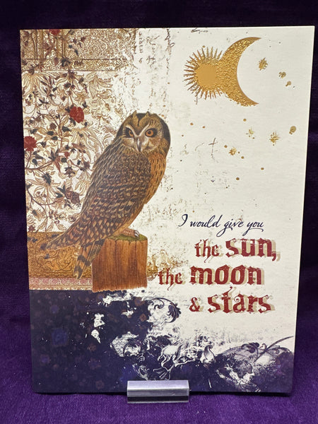 Greeting Card Owl