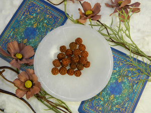 Loose Rudraksha Beads