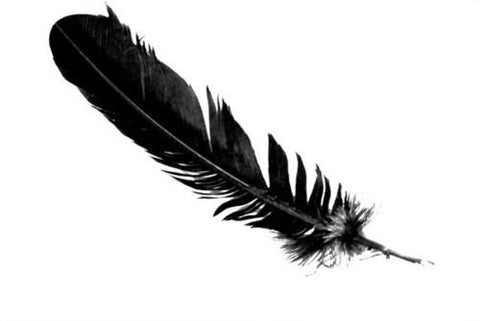 Black Dyed Feather