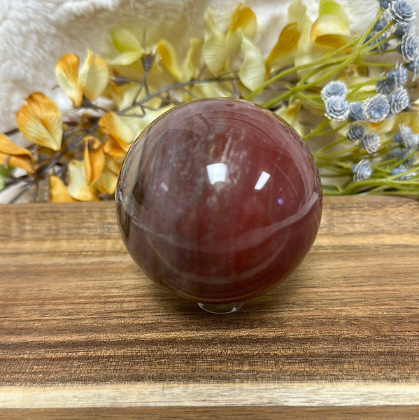 Petrified Wood Sphere