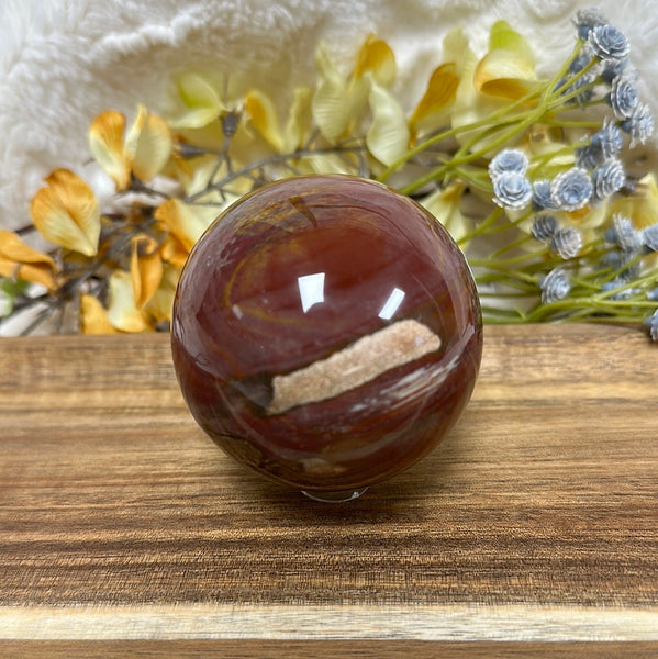 Petrified Wood Sphere