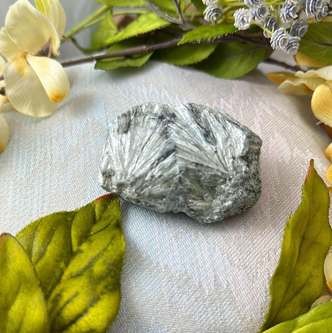 Seraphinite Specimen