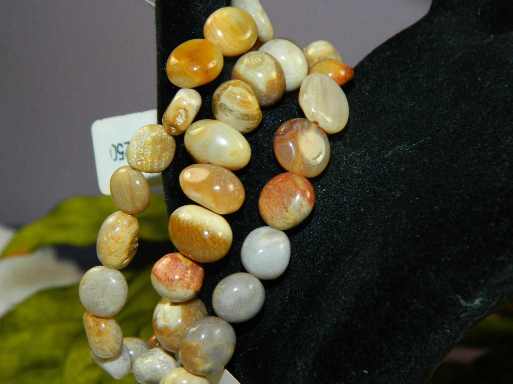 Fossil Coral Irregular Bracelets