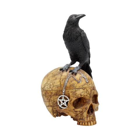 Salems Familiar Box Gothic Raven Skull Witch Pentagram Trinket Box