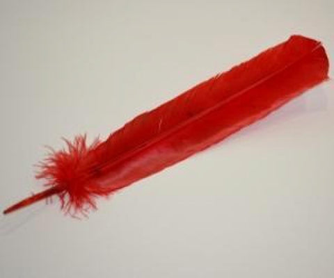 Red Dyed Feather