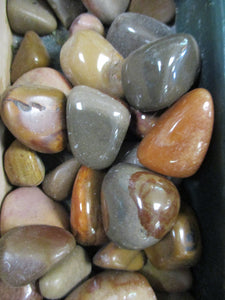 Polychrome Jasper Tumbled