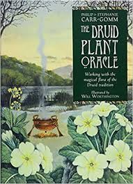 Druid Plant Oracle by Philip Carr Gomm & Stephanie Carr Gomm & Will Worthington