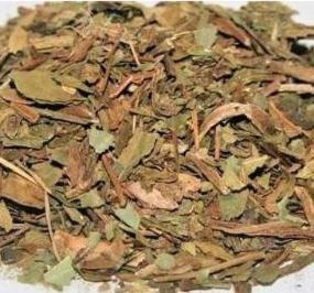 deer tongue tobacco Deer Tongue deer tongue tobacco Deer Tongue