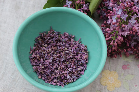 Lilac flowers