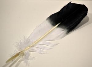 Smudging painted Eagle Feather