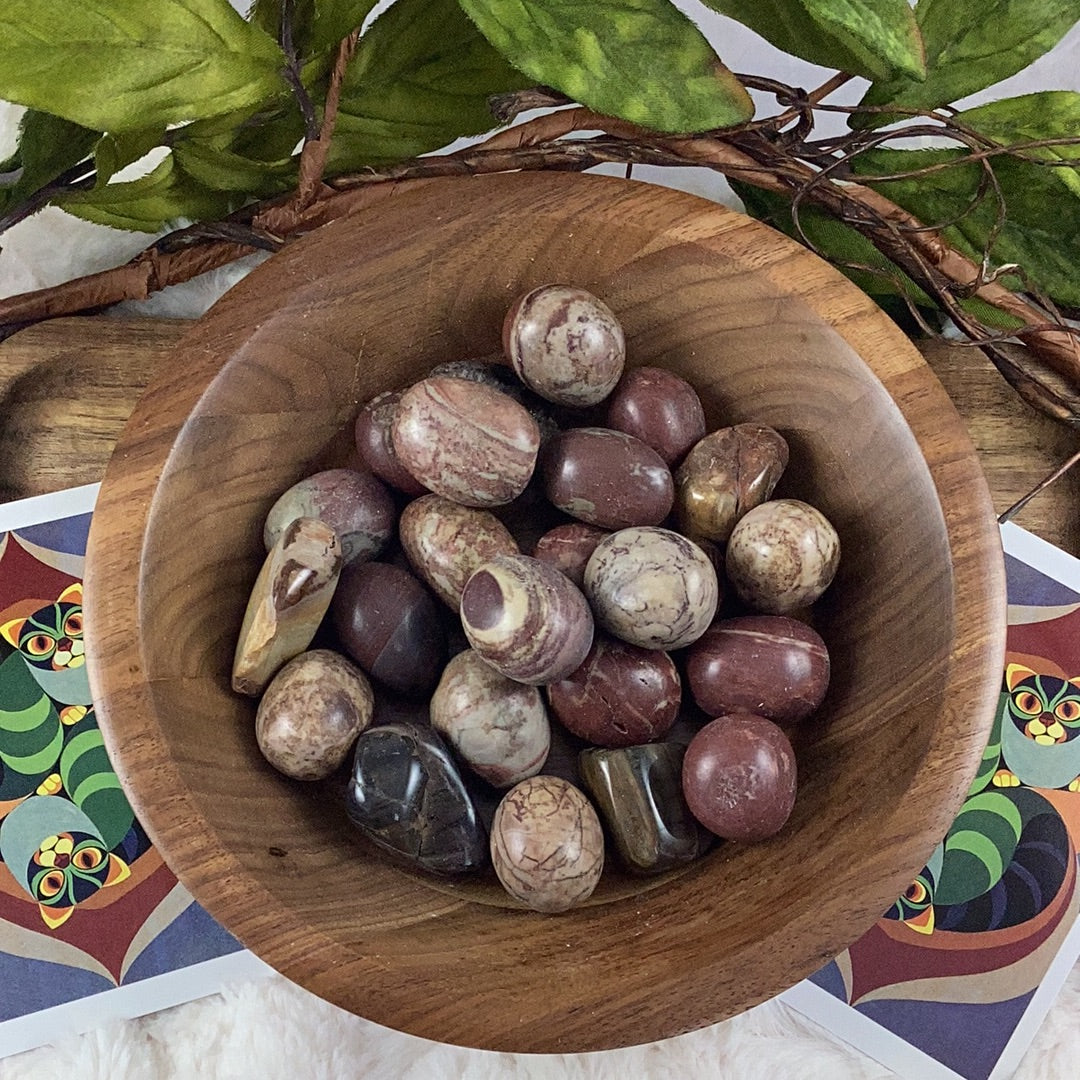 Petrified Wood Tumbled