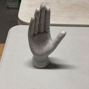 White Palmistry Hand