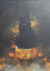 Black Cat Pumpkin Greeting Card