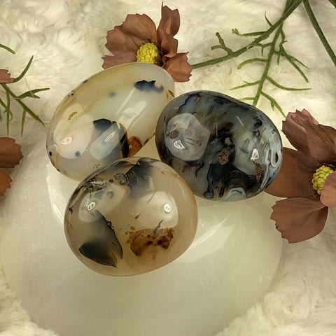 Dendritic Agate Palm Stone