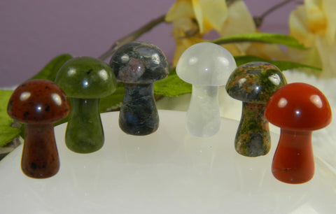 Stone Mushroom Medium