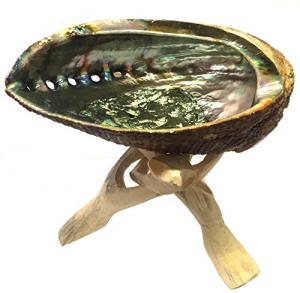 Abalone Shell with Stand