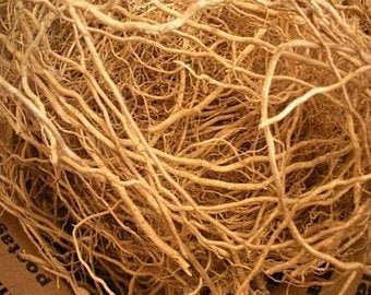 Vetiver Root